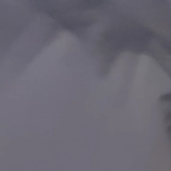 STEVE MADDEN Black Elastic Waistband Leggings - Picture 5 of 6